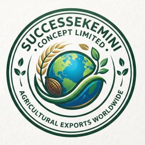 successkemini Logo